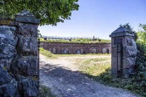 Helsinki Biennial Postponed